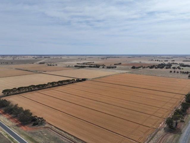 Property for sale in Roslynmead, Victoria