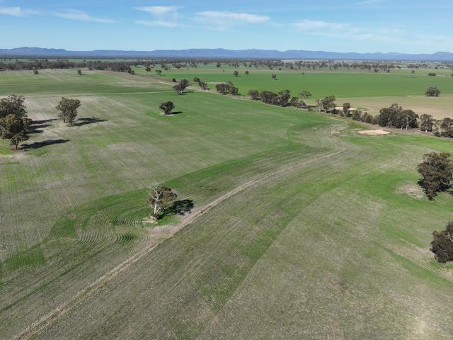 Property for sale in Wonwondah, Rural City of Horsham