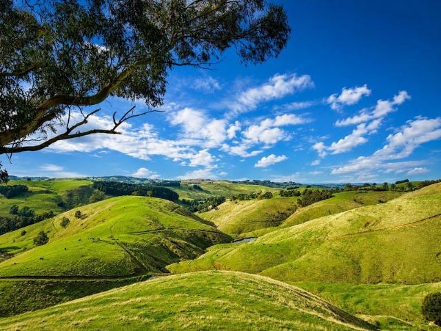 Cottage for sale in Arawata, Victoria