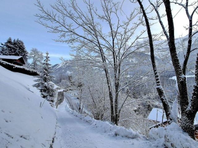 Immobilie kaufen in Champéry, Wallis