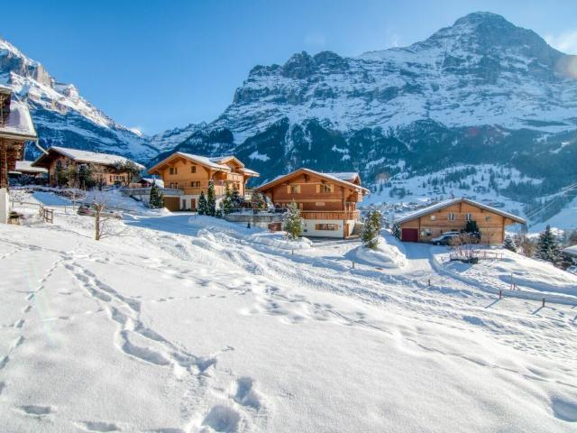 Immobilie kaufen in Grindelwald, Bern