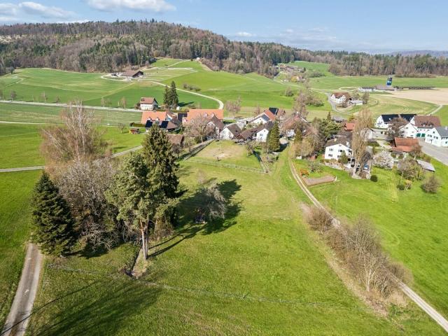 Immobilie kaufen in Stadel, Zürich