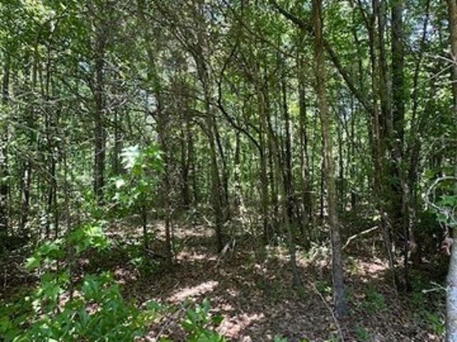 Land for sale in Commerce, Georgia