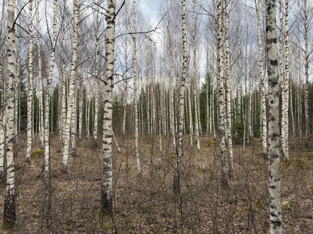 Gård till salu i Värmland