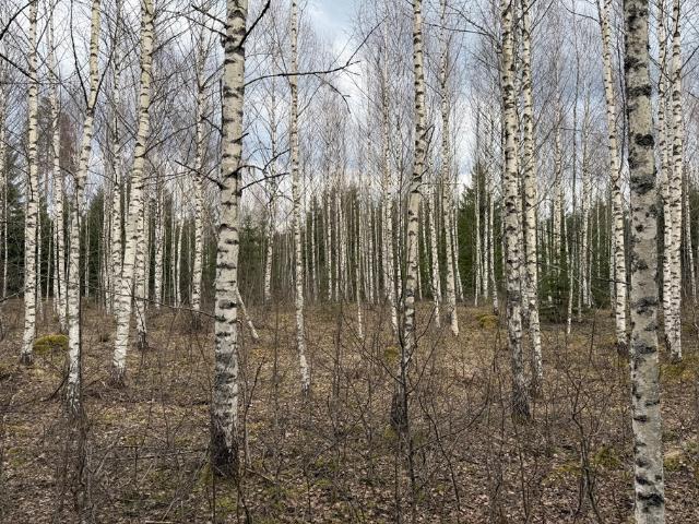 Gård till salu i Mjönäs, Värmland