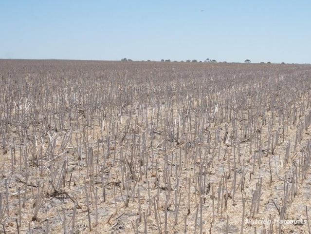 Property for sale in Gibson, Western Australia