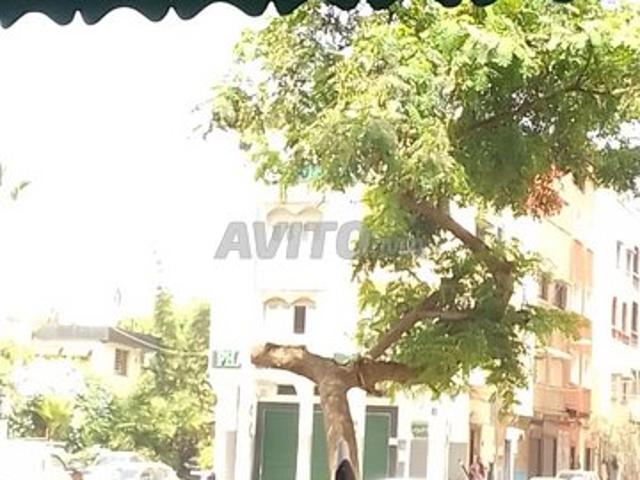 Bureau location à Salé