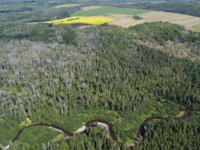 Land for sale in Van Buren, Maine