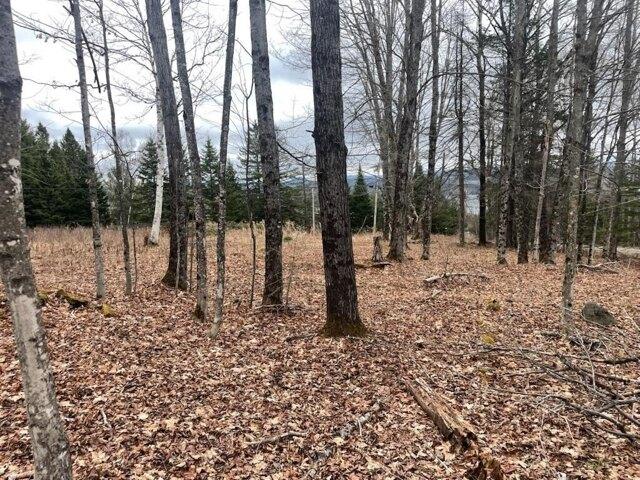 Land for sale in Rangeley, Maine
