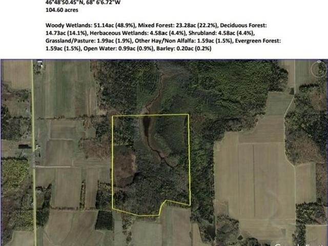 Land for sale in Washburn, Maine