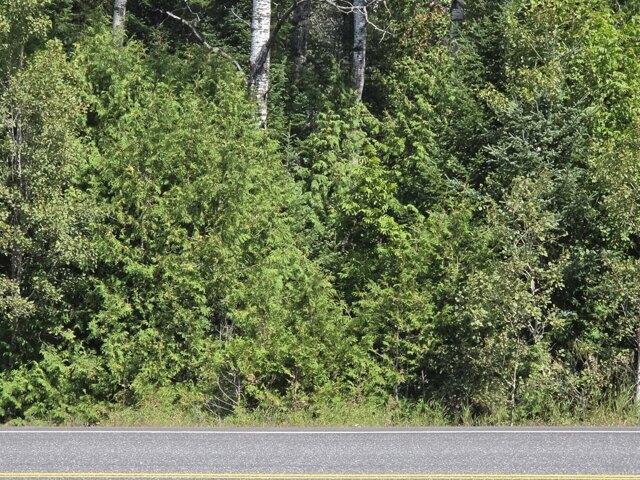 Land for sale in New Sweden, Maine
