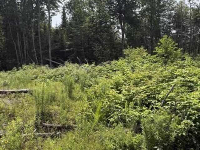 Land for sale in Corinth, Penobscot County