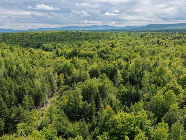 Land for sale in Moro Plantation, Merrill
