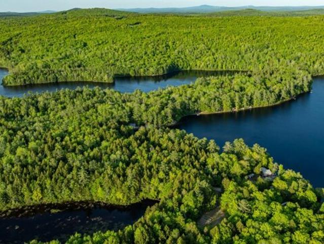 Land for sale in East Eddington, Eddington