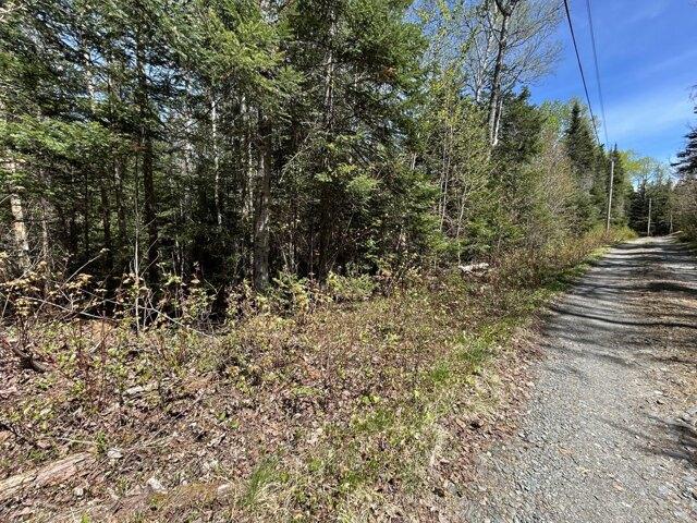 Land for sale in Maine