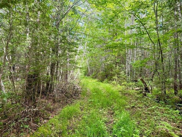 Land for sale in Bangor, Maine