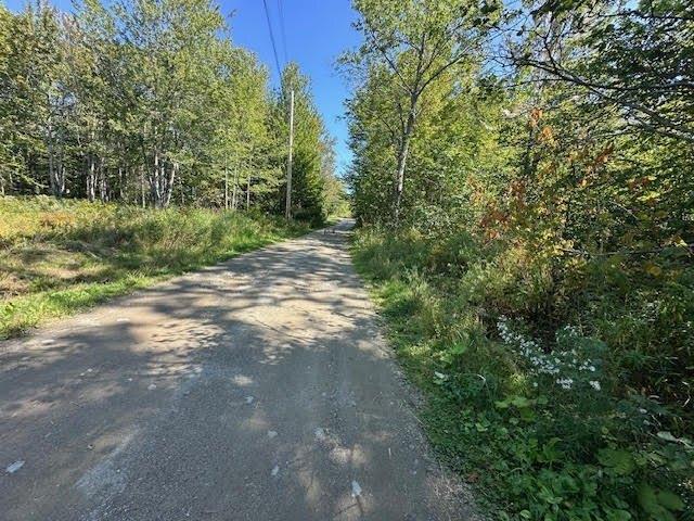 Land for sale in Waldo, Maine