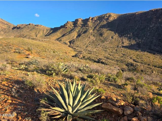 Land for sale in Gila, Arizona