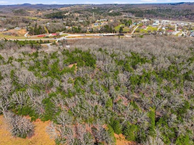 Land for sale in Gainesville, Missouri