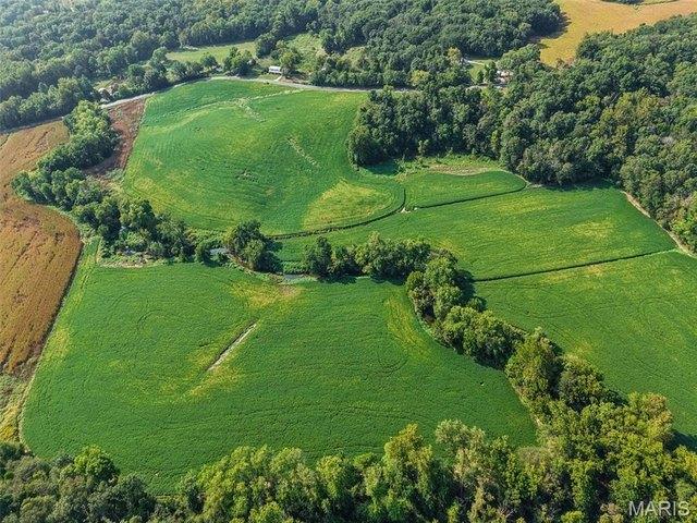 Farm for sale in Red Bud, Randolph County