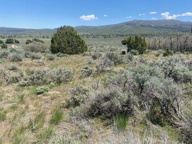 Land for sale in Central, Utah