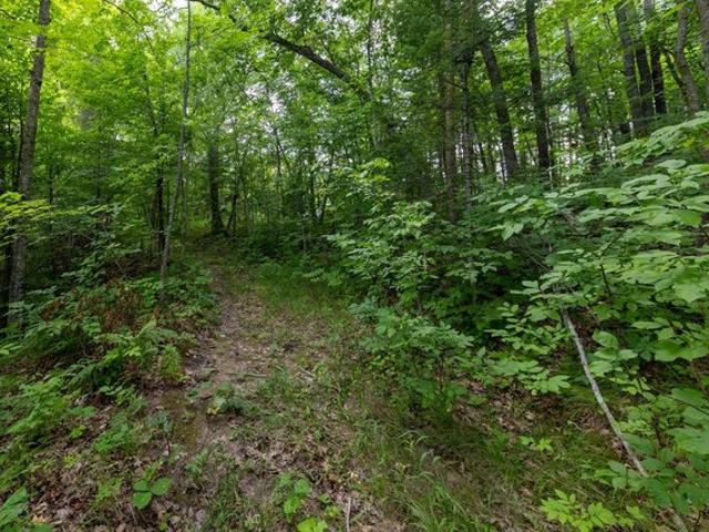 Land for sale in Brainerd, Minnesota