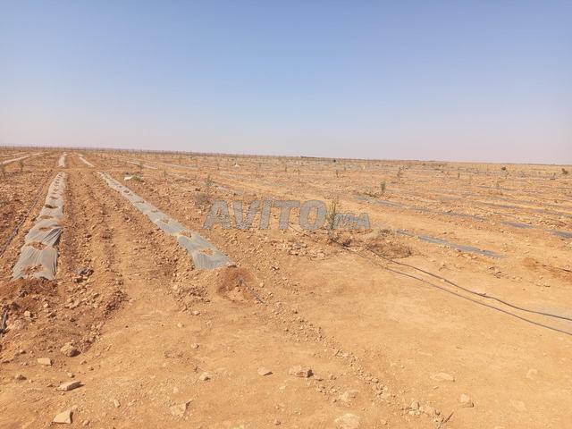 Propriété vente à Tiznit, Oued ed Dahab-Lagouira