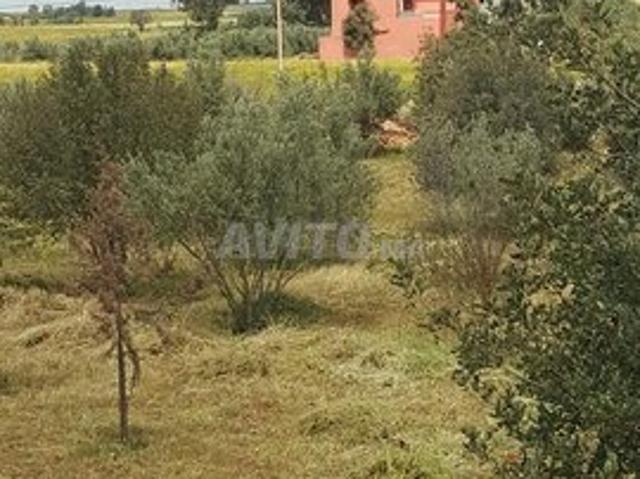 Propriété vente à Khouribga