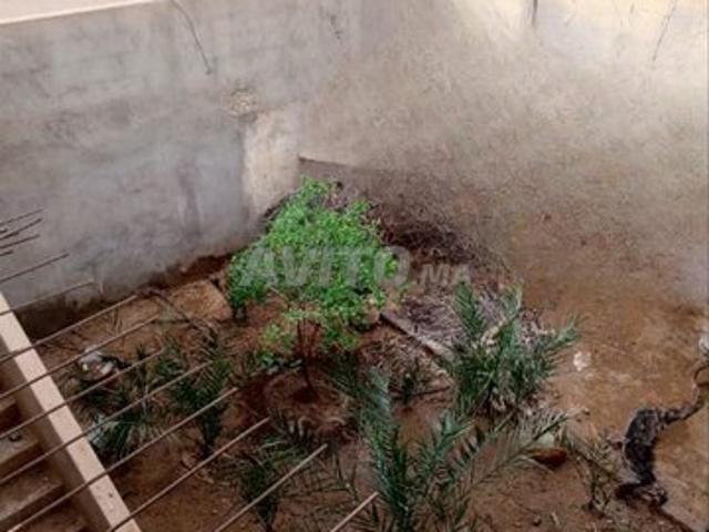 Maison vente à Zagora