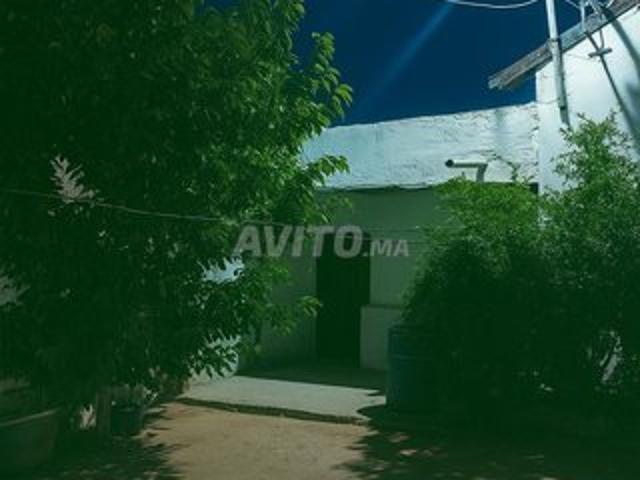 Maison location à Azrou