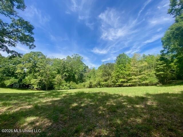 Land for sale in Summit, Mississippi