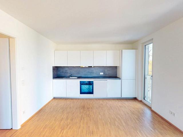Wohnung mieten in Thalkirchen-Obersendling-Forstenried-Fürstenried-Solln, München