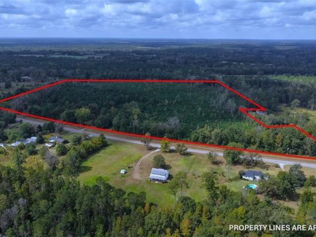 Land for sale in Greenville, Alabama