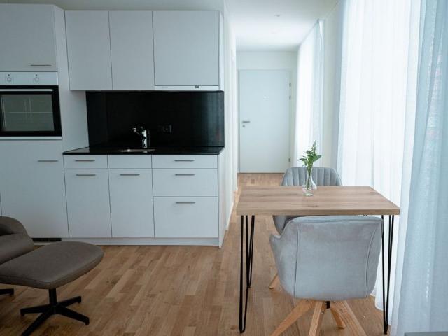 Apartment mieten in Dübendorf, Zürich