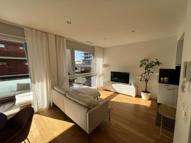 Apartment mieten in Oberwil bei Zug, Zug