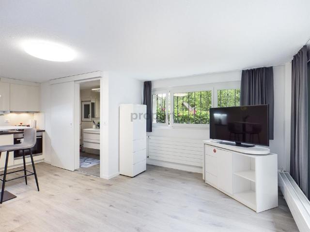 Apartment mieten in Schliern, Köniz