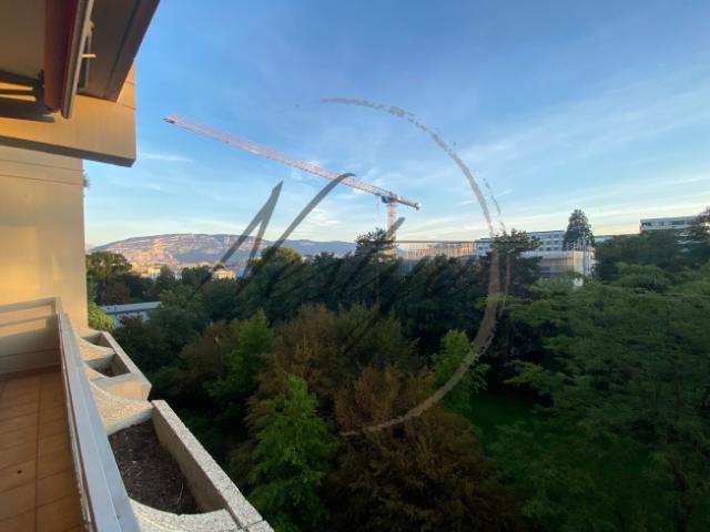 Immobilie mieten in Le Petit-Saconnex, Genève