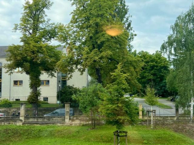 Atelier mieten in Prohlis, Dresden
