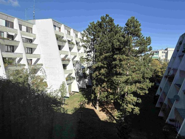 Apartment mieten in Perchtoldsdorf, Niederösterreich