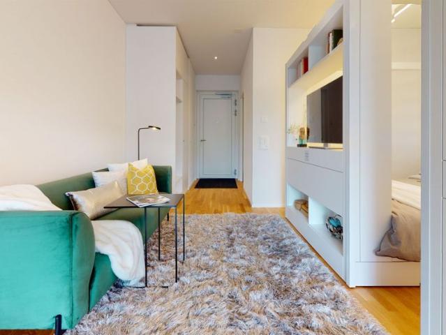 Apartment mieten in Suhr, Aargau