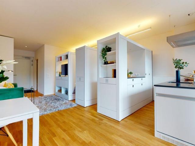 Apartment mieten in Henz Areal, Suhr