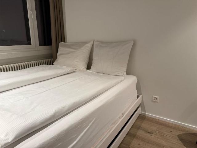 Apartment mieten in Ilanz, Ilanz/Glion