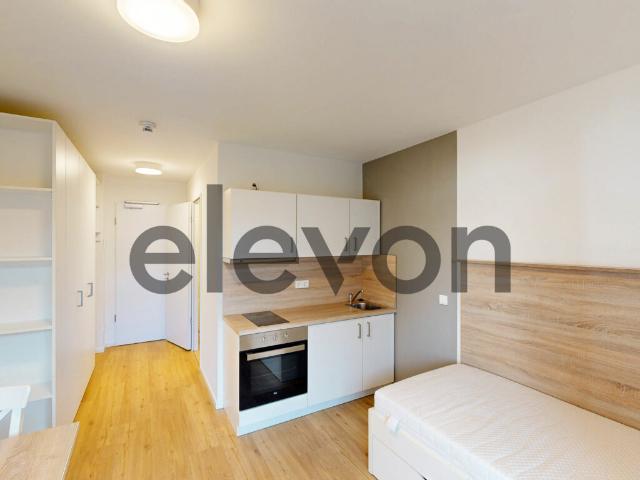 Apartment mieten in Mainz, Rheinland-Pfalz