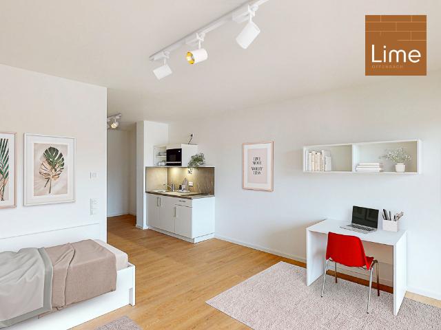 Apartment mieten in Lindenfeld, Hessen