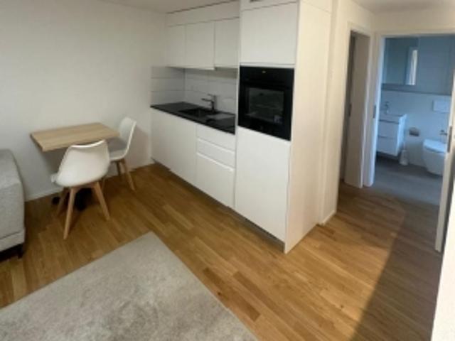 Studio mieten in Weiningen (ZH), Zürich