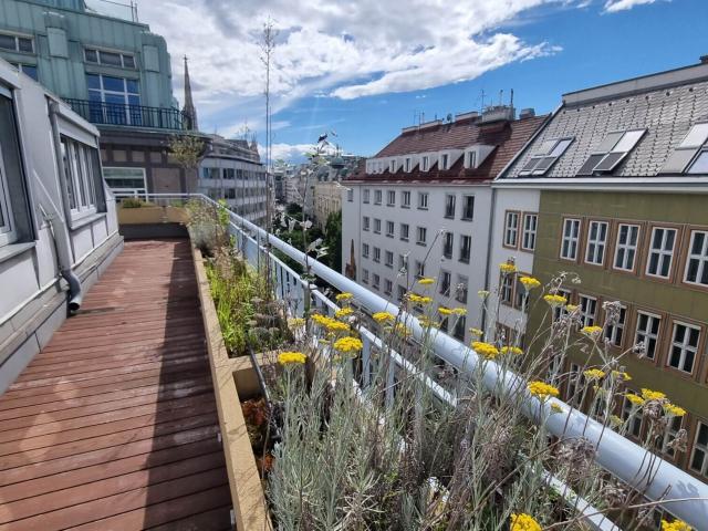 Apartment mieten in Innere Stadt, Wien