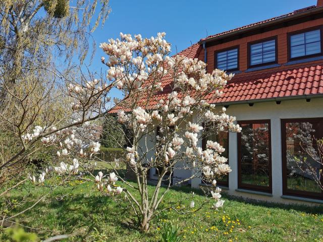 Haus mieten in Neuenhagen bei Berlin, Märkisch-Oderland