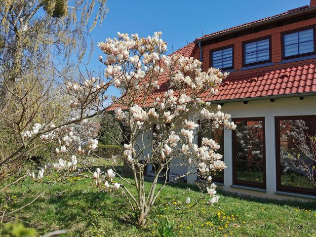 Haus mieten in Woltersdorf, Brandenburg