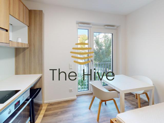 Apartment mieten in Stuttgart-Nord, Stuttgart