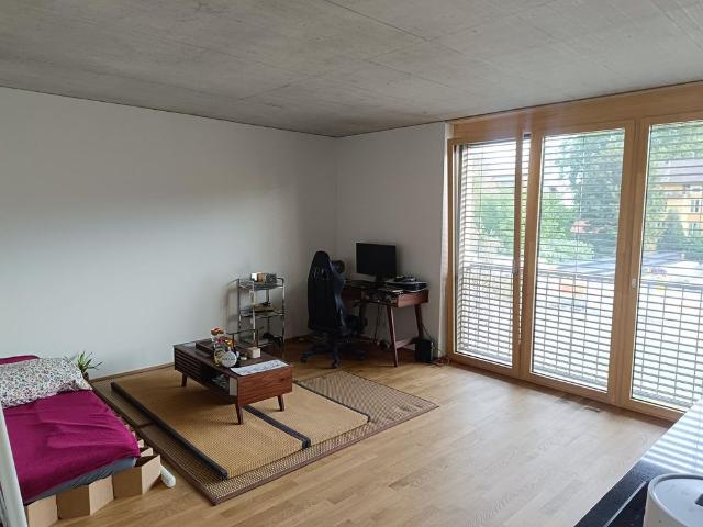 Apartment mieten in Vieille Ville / Altstadt, Biel/Bienne